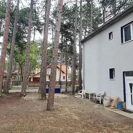 In - Balaton 44083 * שיופוק