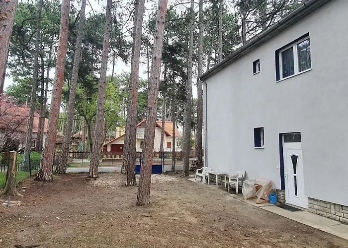 In - Balaton 44083 * שיופוק